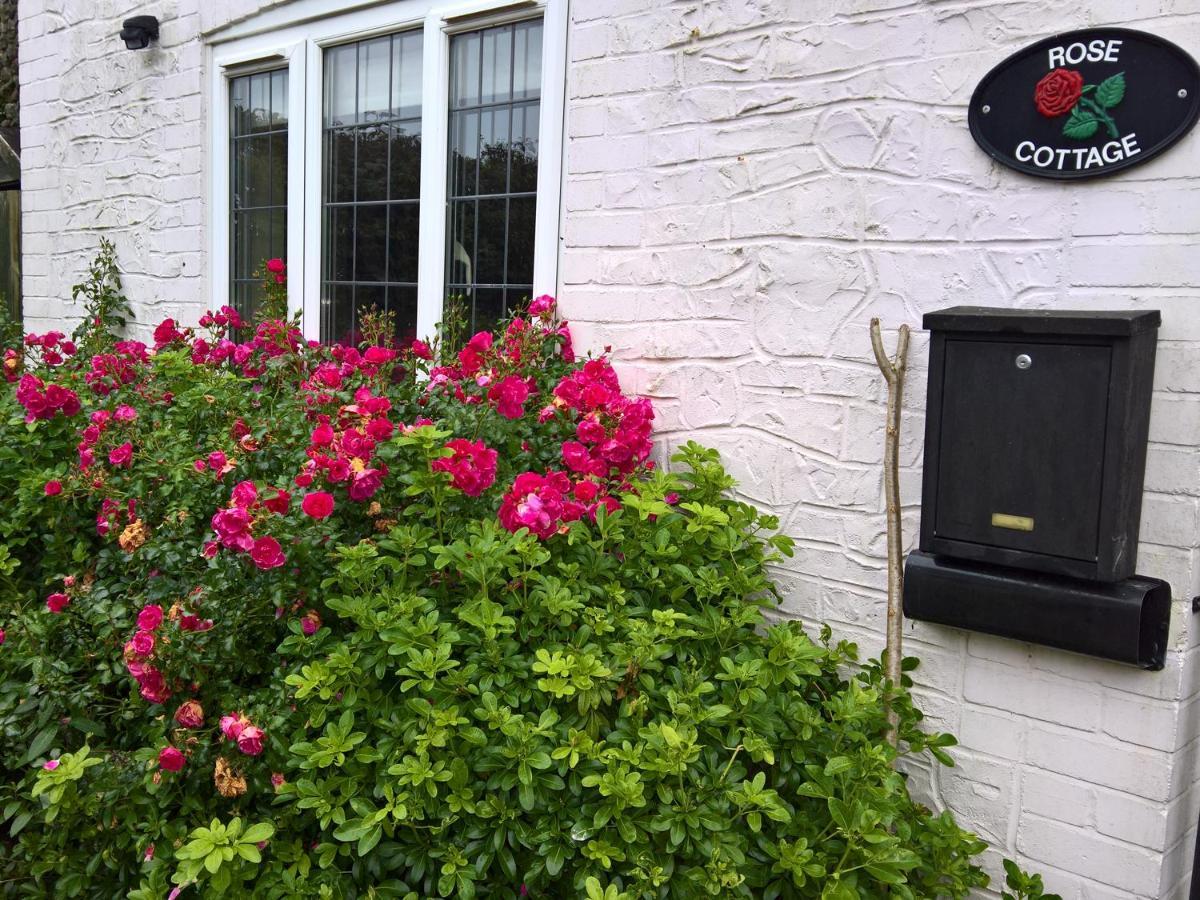 Rose Cottage Chard Kültér fotó